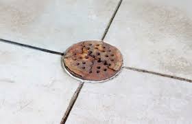 drain cover is it your