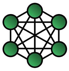 Image result for Networking Protocol logo