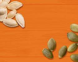 pumpkin seeds pepitas david seeds