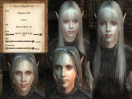 Now click the installtool.exe and choose matching face textures. Must Have Mods For The Elder Scrolls Iv Oblivion Thermaltake Blog