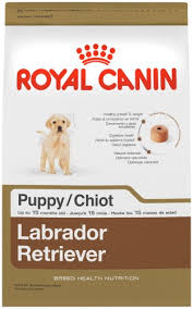 Negozio Di Sconti Online Royal Canin Puppy Labrador