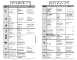 Cbc Complete Blood Count Bnp Nurse Chart Nursing School