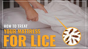 how to treat your mattress for lice