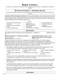 It Business Analyst Resume Template Junior Cv