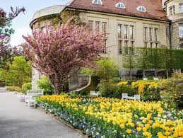 Zunächst befand er sich zwischen stachus und hauptbahnhof. Der Botanische Garten Munchen Fantastische Flora In Nymphenburg