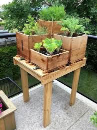 Ideas For Container Gardening Drip
