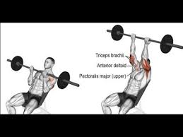 Gym Workout Chart Chest Exercises For Every Part Of The Chest Muscle