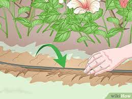 how to install plastic lawn edging 12