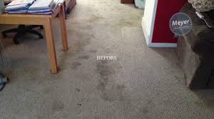 carpet cleaning madison wi