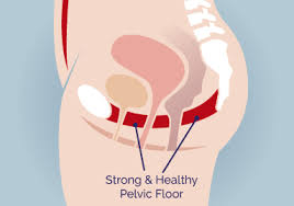 pelvic floor health in women resolves