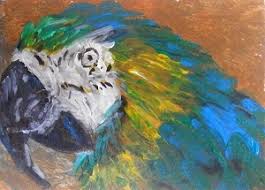 Αποτέλεσμα εικόνας για parrot paintings