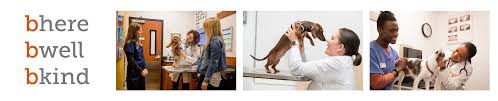 Banfield pet hospital is a privately owned company based in vancouver, washington, united states, that operates veterinary clinics. Banfield Pet Hospital Employment And Reviews Simplyhired