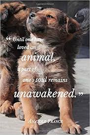 Animals , love , pets. Until One Has Loved An Animal Anatole France Quotation Journal Notebooks Golding 9781690890737 Amazon Com Books