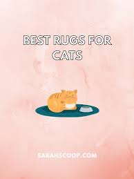 30 best rugs for cats sarah scoop