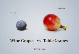 Table Grapes Vs Wine Grapes Wine Folly