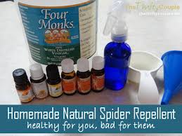 homemade natural spider repellent good