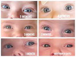 eye color progression photos babycenter