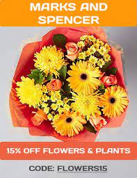 It doesn't matter who you love, flowers will always find. Codesium On Twitter 15 Off Flowers Plants At M S With Discount Code Flowers15 Valid Now Through 19 September Https T Co J1lhomiisz
