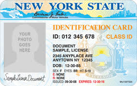 Your immigration status does not matter. New York State Id For International Students New York State Funny Baby Jokes Card Printer