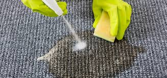 is your carpet filthy 4 surprising
