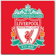 Liverpool bird sew on iron on patch badge embroidered for clothes bags etc. Pin On Products