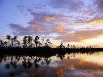 how-deep-is-the-water-in-the-everglades