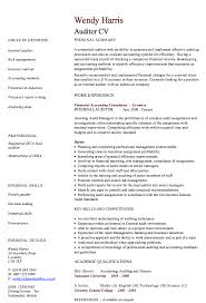 internal auditor resume sample