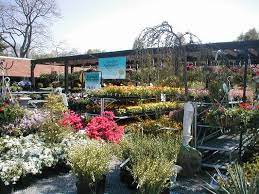 Flagg S Garden Center Landscaping