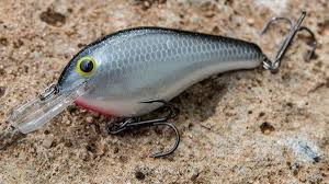 5 Shallow Bass Fishing Crankbait Colors You Need