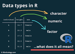 r data types 101 or what kind of data
