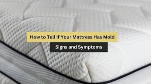 how to know if your mattress has mold