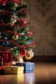 christmas trees and hardwood flooring