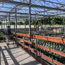 nurseries gardening in des moines ia