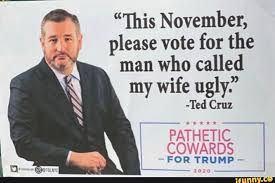 Just drove by ted cruz's house in houston. This November Please Vote For The Man Who Called My Wife Ugly Ted Cruz Pathetic Cowards For Trump Ifunny