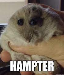 hampter
