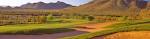 Dove Valley Ranch Golf Club | Phoenix & Scottsdale Public Course ...