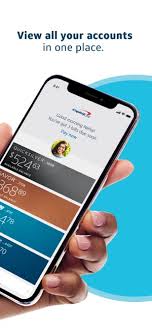 capital one mobile on the app