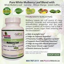 white mulberry leaf extract