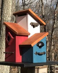 Right Birdhouse To Attract Birds