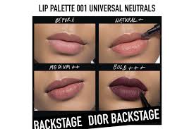 dior backse lip palette s
