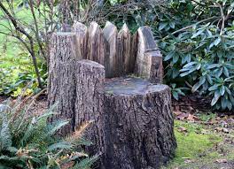 a tree stump