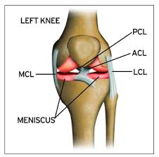 mcl surgery repair treatment knee