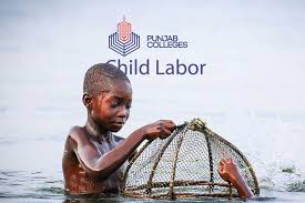 child labour punjab colleges