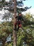 Hur klättra i träd?