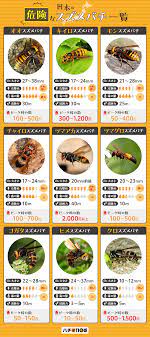 チャイロスズメバチの珍しい特徴や生態を図解！絶滅危惧種の実態と対策 | ハチ110番