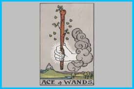 This is the time to seize the initiative, push beyond your limits, and reach for new heights. Ace Of Wands Ace Of Wands Tarot Card Minor Arcana Ace Of Wands Tarot Love Ace Of Wands Reversed Tarot Card Ace Of Wands Ace Of Wands Yes Or No Ace Of