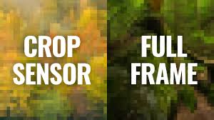 crop sensor or full frame for landscape