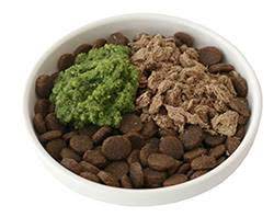 7 ways to improve your dog s kibble