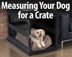 mering your dog for a crate dog com