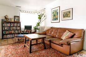 rug colors that go with a brown couch